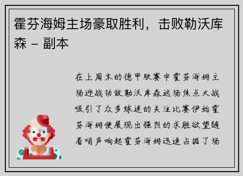 霍芬海姆主场豪取胜利，击败勒沃库森 - 副本