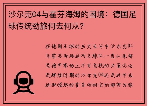 沙尔克04与霍芬海姆的困境：德国足球传统劲旅何去何从？