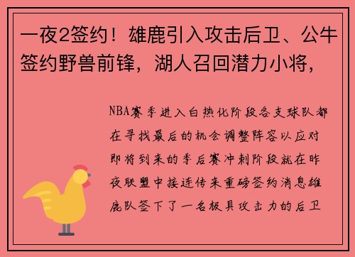 一夜2签约！雄鹿引入攻击后卫、公牛签约野兽前锋，湖人召回潜力小将，三队再现转折