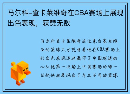 马尔科-查卡莱维奇在CBA赛场上展现出色表现，获赞无数