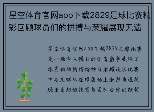 星空体育官网app下载2829足球比赛精彩回顾球员们的拼搏与荣耀展现无遗